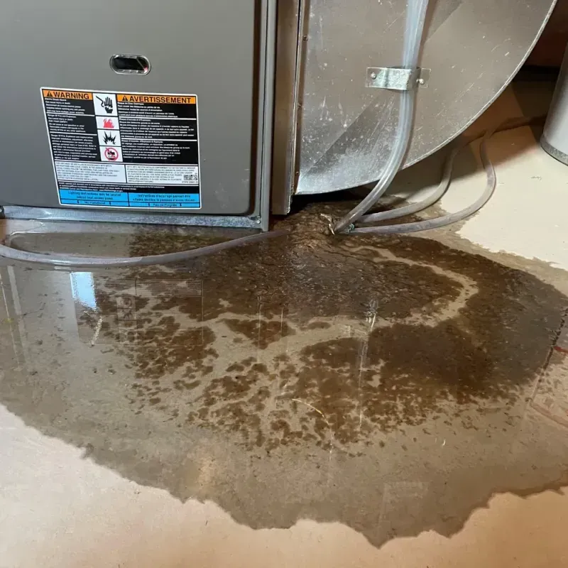 Appliance Leak Cleanup in Buckner, KY